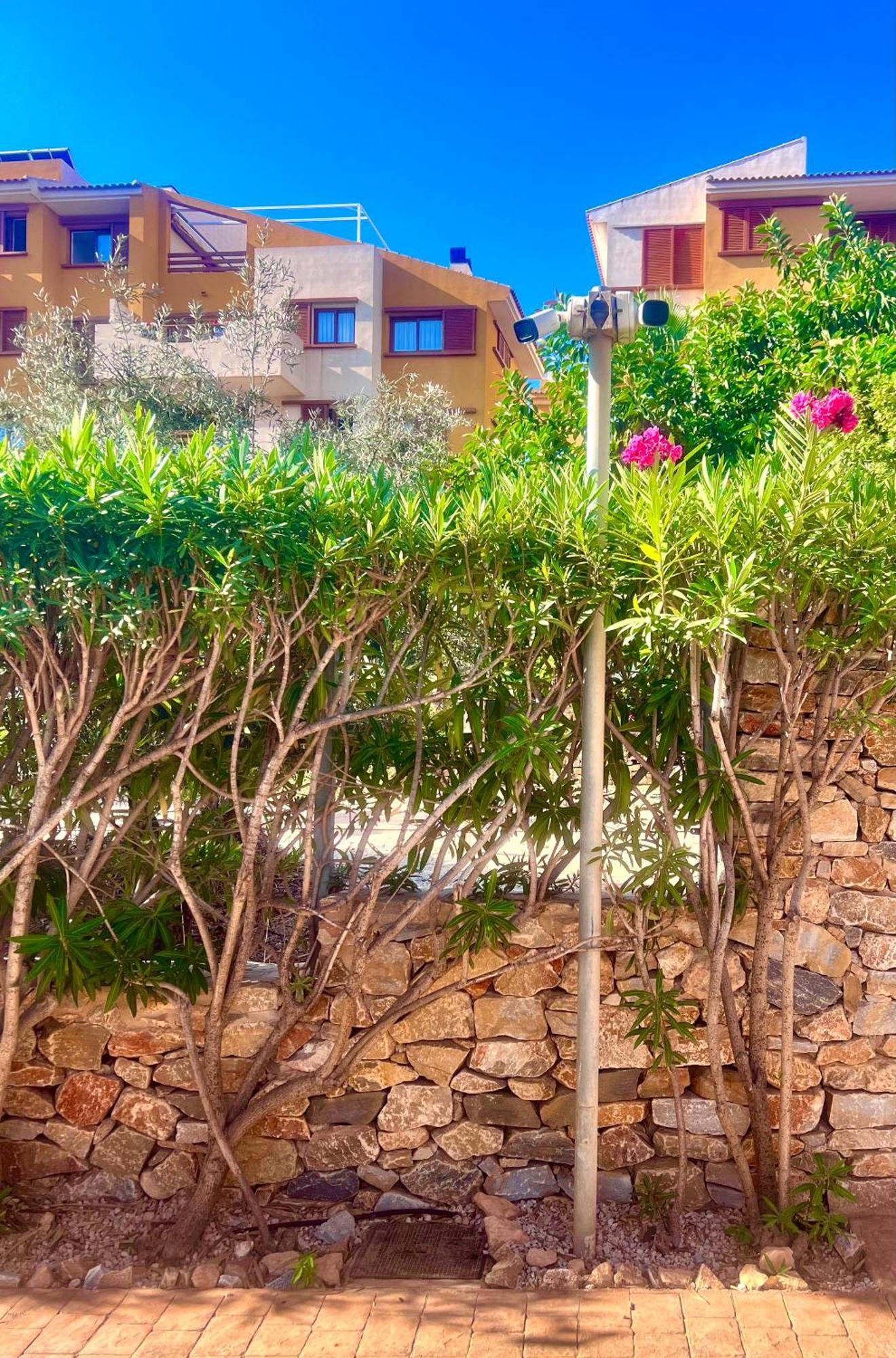 Apartmán Torrevieja 200M From Sea Punta Prima Alicante Exteriér fotografie